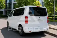2019 Peugeot Traveller