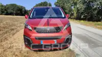 2019 Peugeot Expert