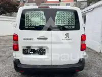 2019 Peugeot Expert