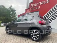 2019 Citroen C3