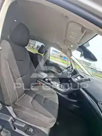 2019 Ford S-Max