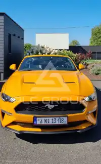 2019 Ford MUSTANG