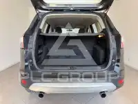2019 Ford Kuga