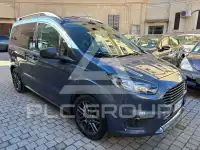 2019 Ford Tourneo
