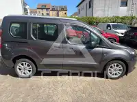 2019 Ford Tourneo