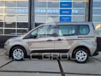 2019 Ford Tourneo