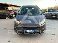 2019 Ford Tourneo