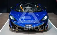 2019 McLaren 600