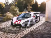 2019 McLaren Senna