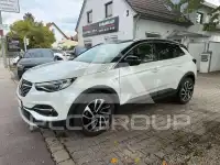 2019 Opel Unknown