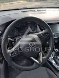 2019 Opel CrosslandX