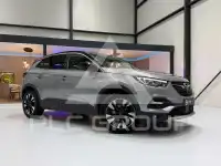 2019 Opel GrandlandX