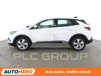 2019 Opel GrandlandX