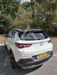 2019 Opel GrandlandX