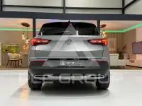 2019 Opel GrandlandX