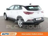 2019 Opel GrandlandX