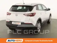 2019 Opel GrandlandX