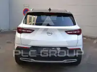 2019 Opel GrandlandX
