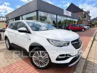2019 Opel GrandlandX