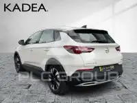 2019 Opel GrandlandX