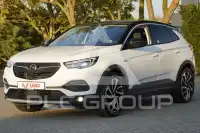 2019 Opel GrandlandX