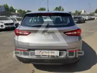 2019 Opel GrandlandX