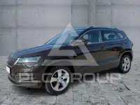 2020 Skoda Karoq