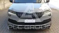 2020 Skoda Karoq