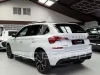 2020 Skoda KAMIQ