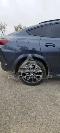 2020 BMW X6