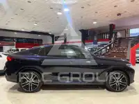 2020 BMW X6