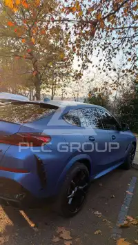 2020 BMW X6