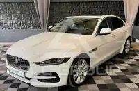 2020 Jaguar XE