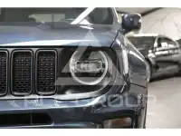 2020 Jeep Renegade