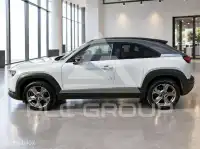 2020 Mazda MX-30