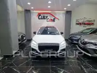 2020 Audi SQ2