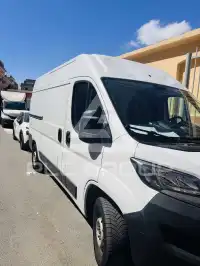 2020 Fiat 2300