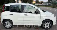 2020 Fiat Panda