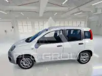 2020 Fiat Panda