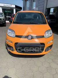 2020 Fiat Panda