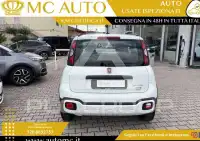 2020 Fiat Panda