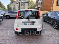 2020 Fiat Panda