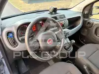 2020 Fiat Panda