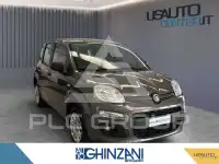 2020 Fiat Panda