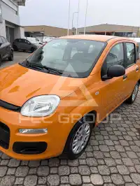2020 Fiat Panda
