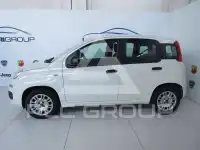 2020 Fiat Panda