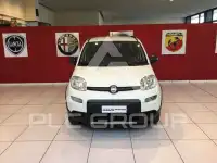 2020 Fiat Panda