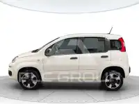 2020 Fiat Panda