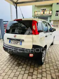 2019 Fiat Panda