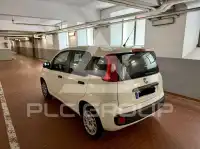 2020 Fiat Panda